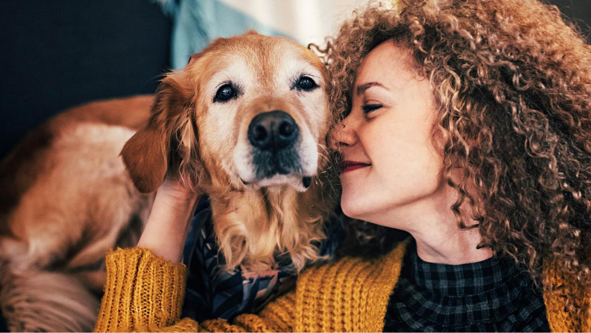 Heel Vet | Health topics: Dog - Chronic kidney disease